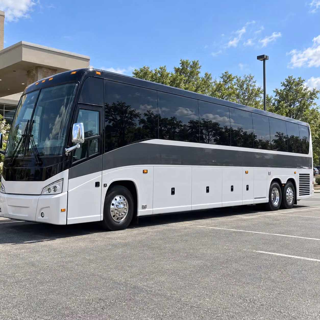 56 passenger charter bus